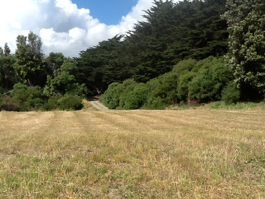 Lot one - image Dec 29th 17.14.26